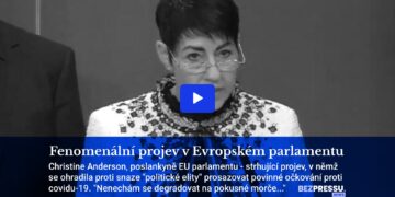 Fenomenální projev v Evropském parlamentu