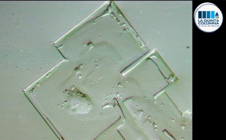 Nový výzkum: Mikrotechnologie nalezena ve vakcíně společnosti Pfizer! – LA QUINTA COLUMNA – Ricardo Delgado Martín