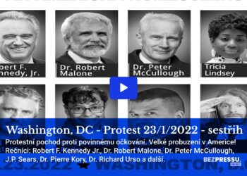 Washington DC – Protest 23/1/2022 – sestřih