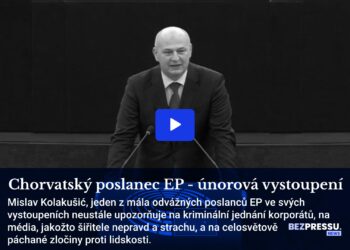 Chorvatský poslanec EP – únorová vystoupení