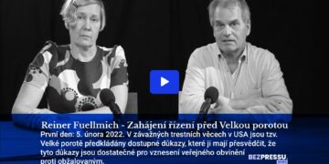 Reiner Fuellmich – Zahájení řízení před Velkou porotou