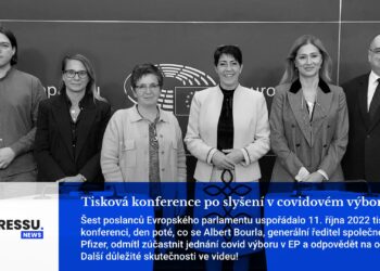 Tisková konference po slyšení v covidovém výboru EP