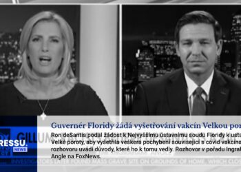 Guvernér Floridy žádá vyšetřování vakcín Velkou porotou