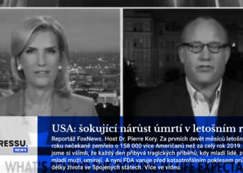 USA: šokující nárůst úmrtí v letošním roce