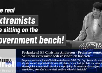 Poslankyně EP Christine Anderson: Skuteční extremisté sedí ve vládních lavicích