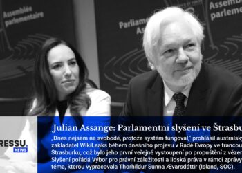 Julian Assange: Parlamentní slyšení ve Štrasburku