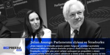 Julian Assange: Parlamentní slyšení ve Štrasburku